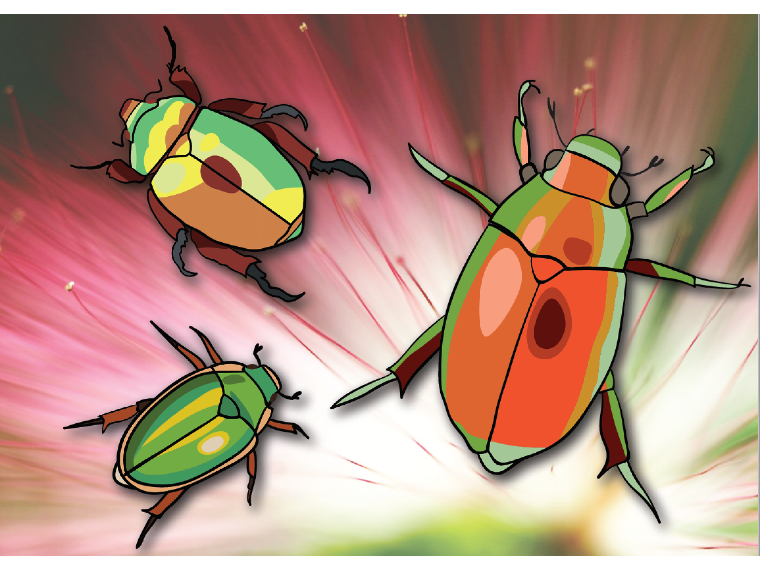 beetles 1.png