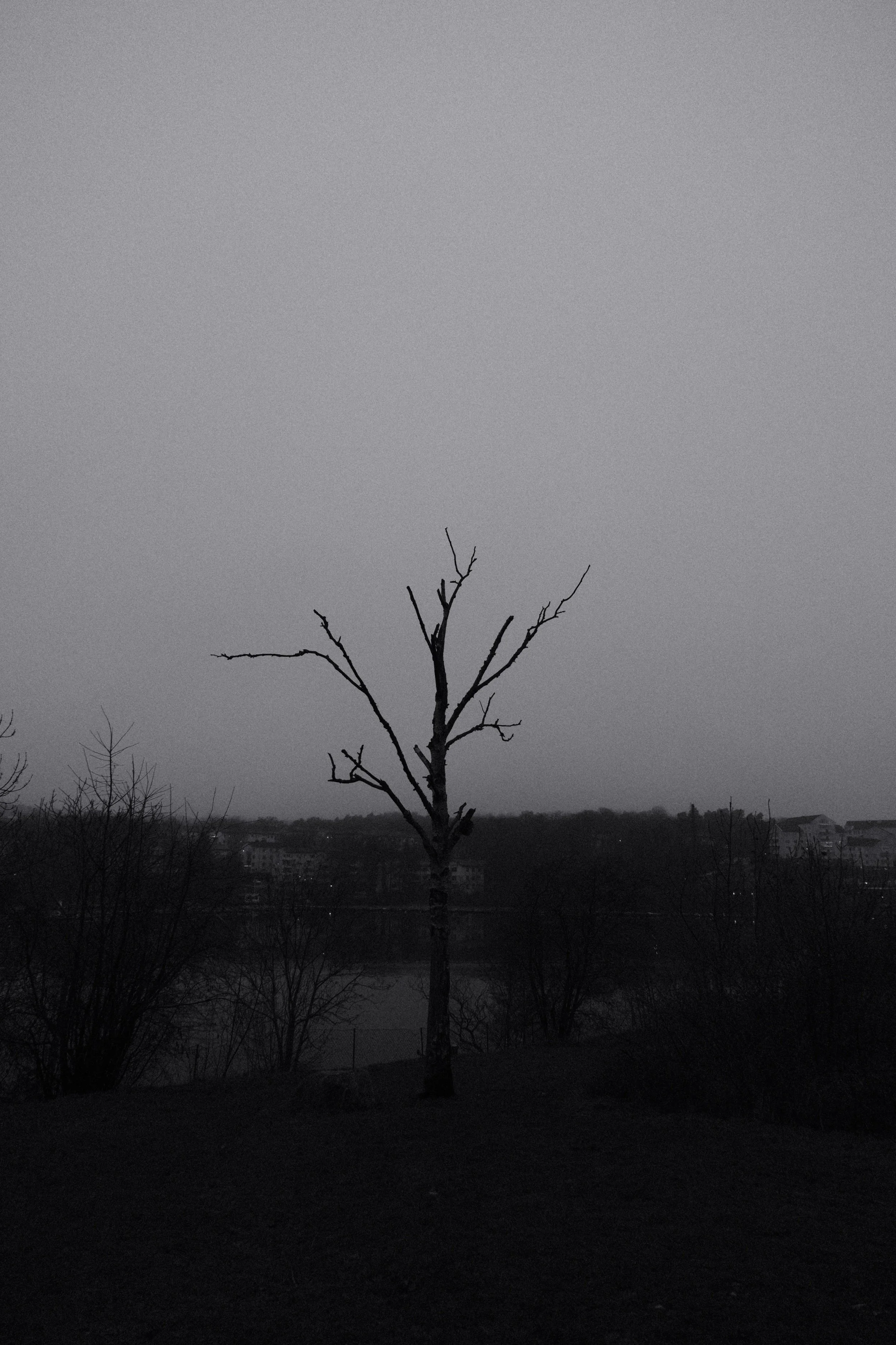 DSCF7929.jpeg