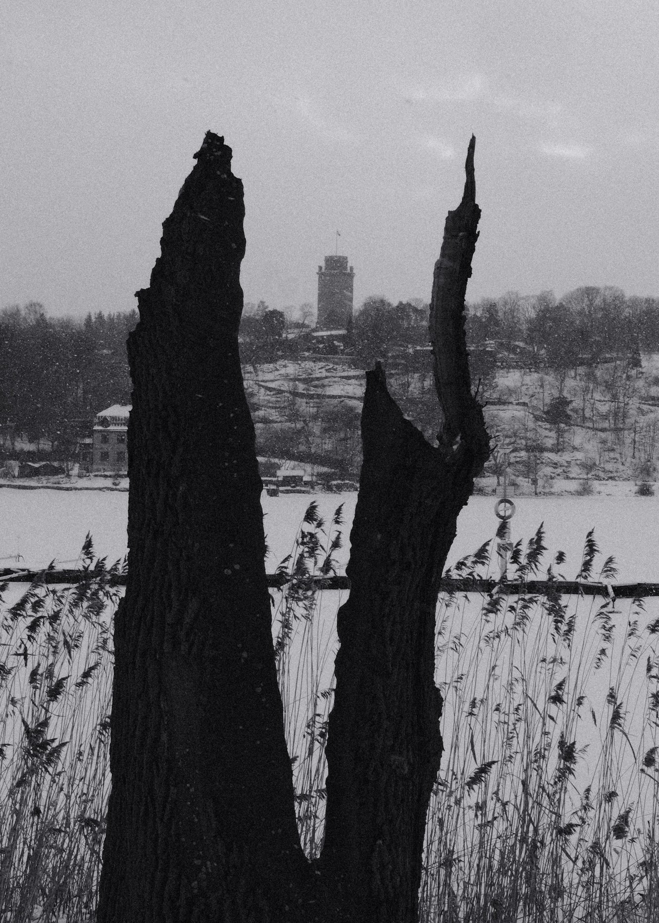black and white photo of Djurgården Stockholm