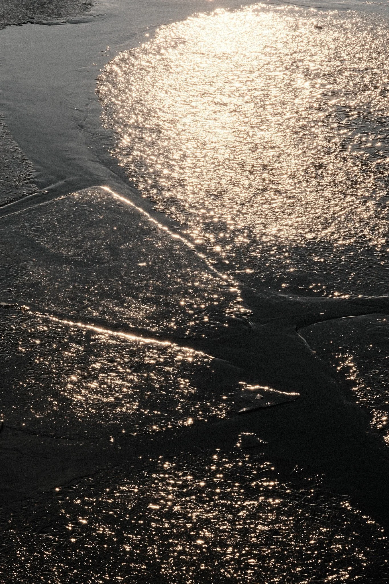 Light hitting the water near city hall