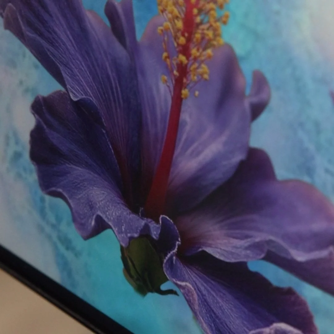 A look at the reference behind Caleb White&rsquo;s next piece.

Floral realism is all about the details most people scroll past &mdash; the way the petals fold, how the light moves through the purple tones, where the shadows need to sit, and how much