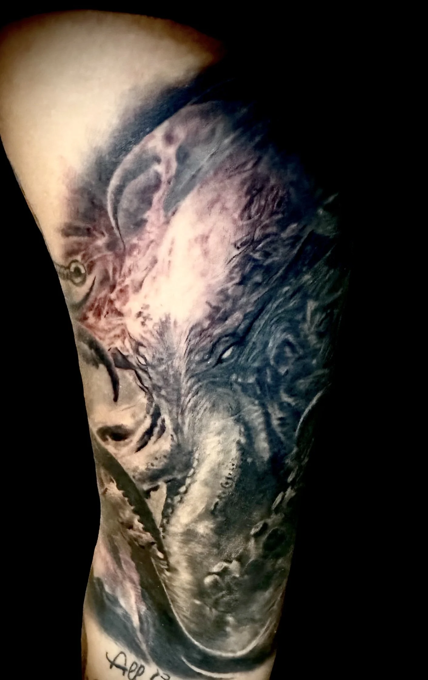 black grey realistic octopus tattoo
