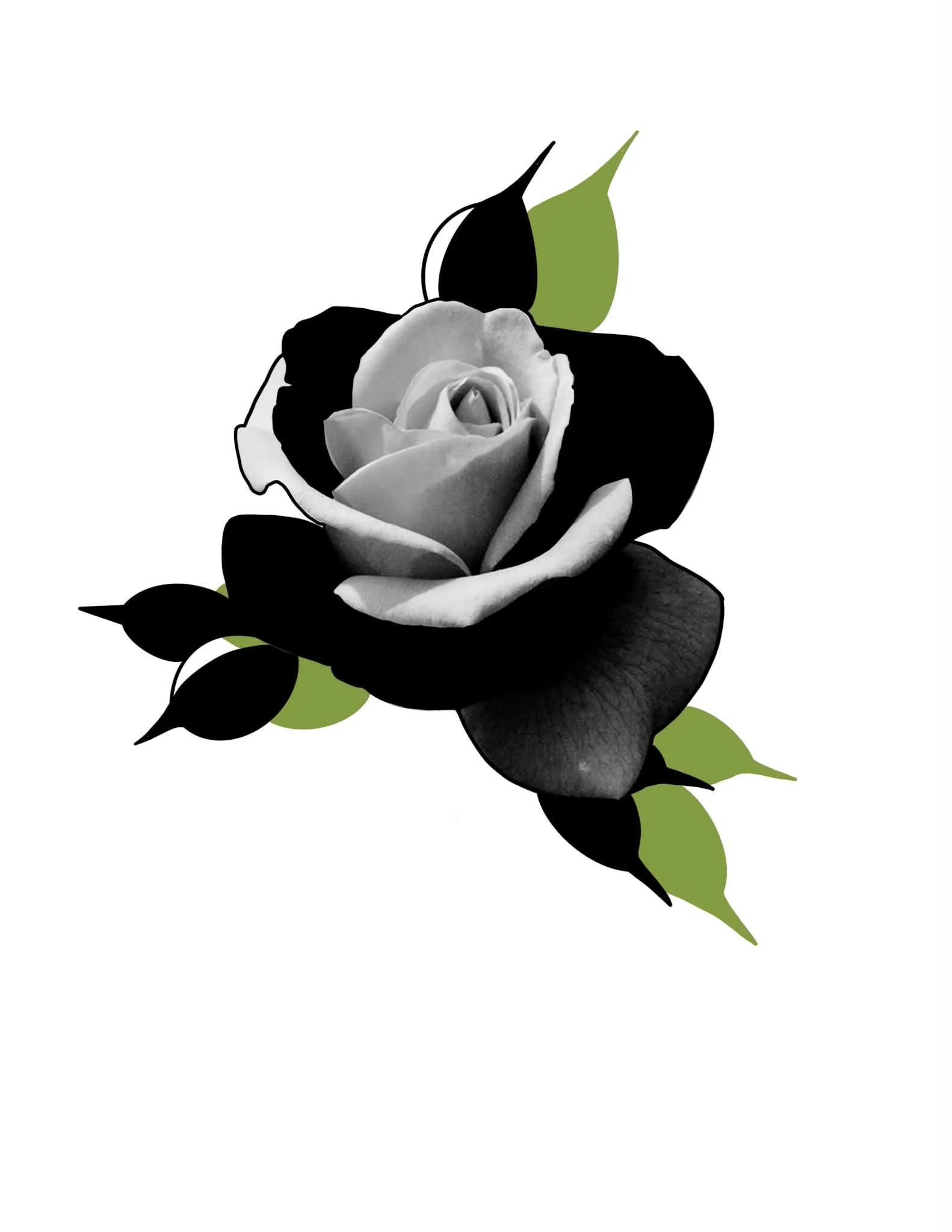 Black and Grey Flower Green Color Infusion