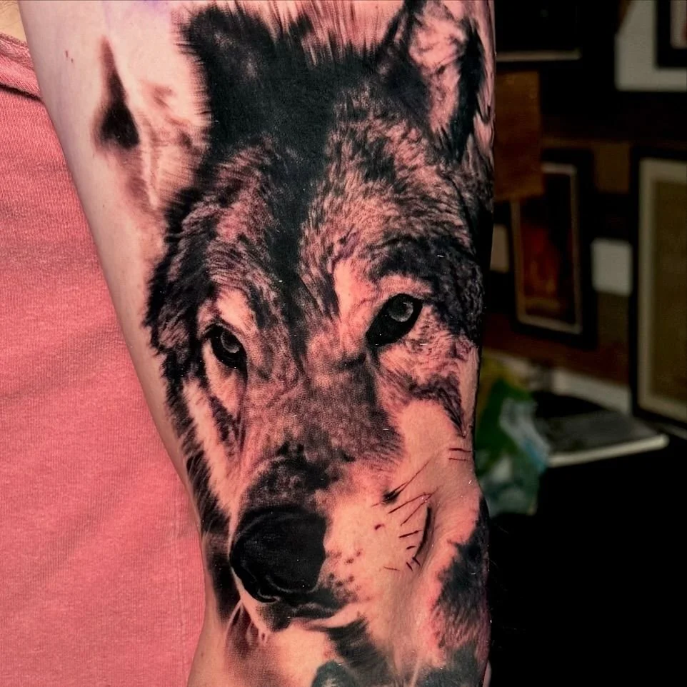 wolf husky dog tattoo realism