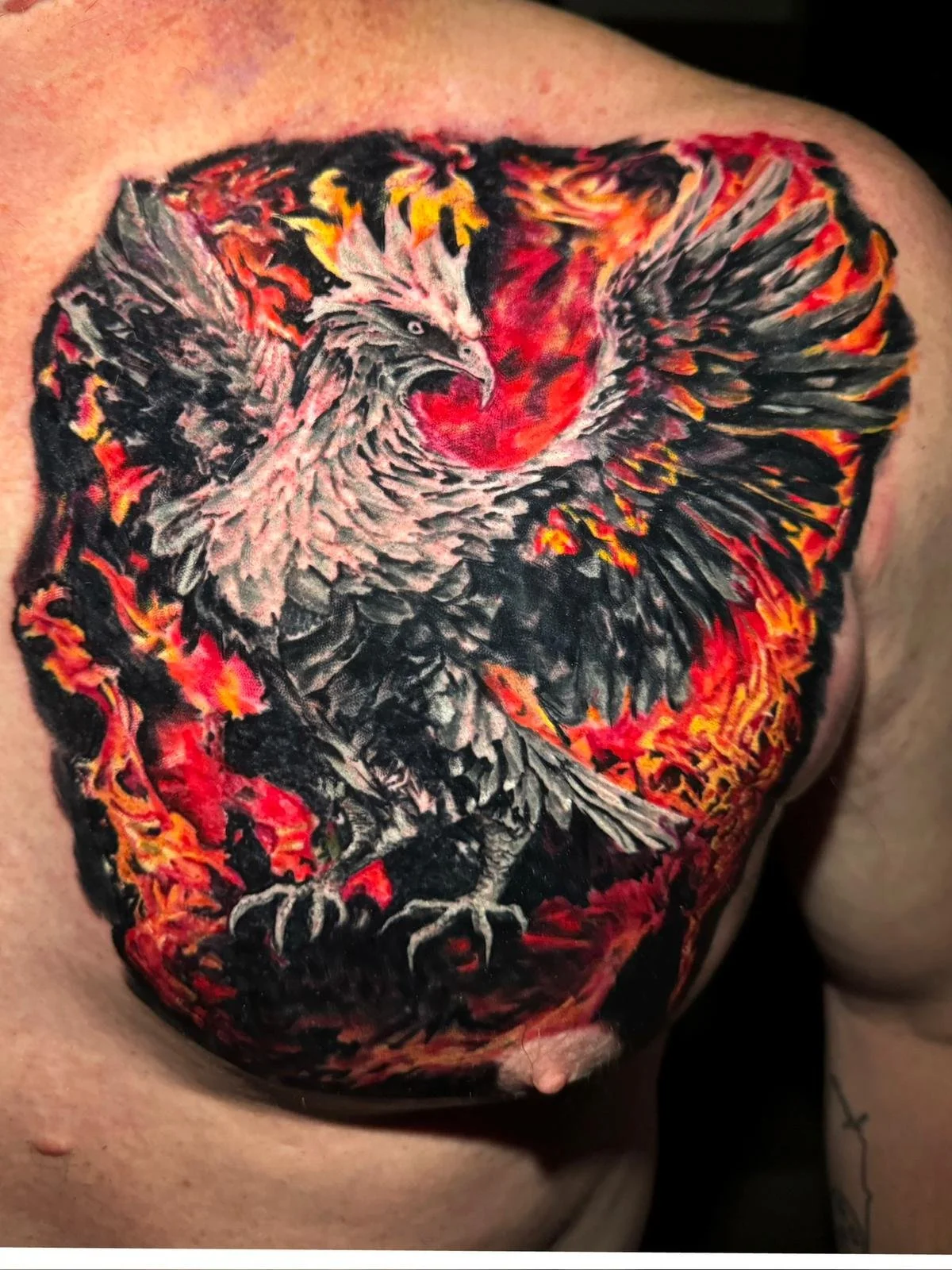 phoenix riding from ashes tattoo