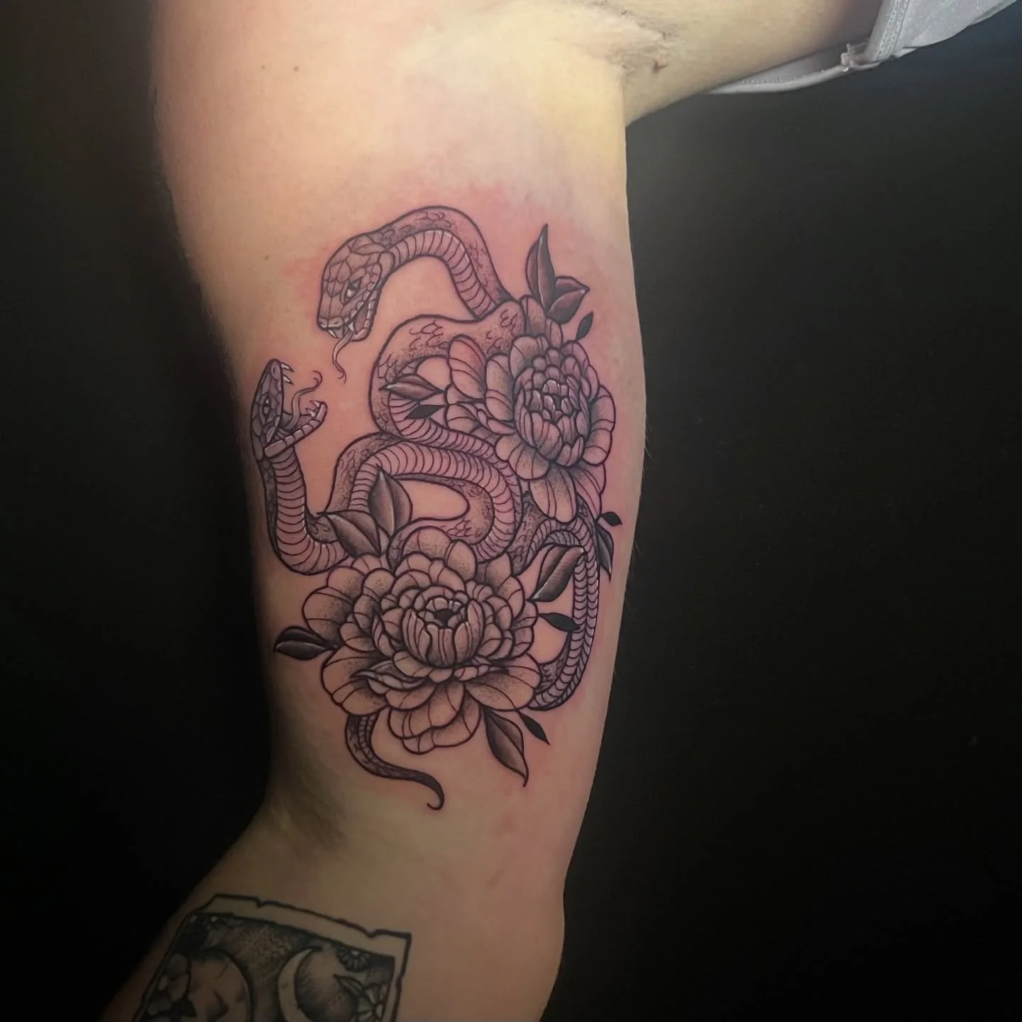 snake traditional tattoo 2 snakes
