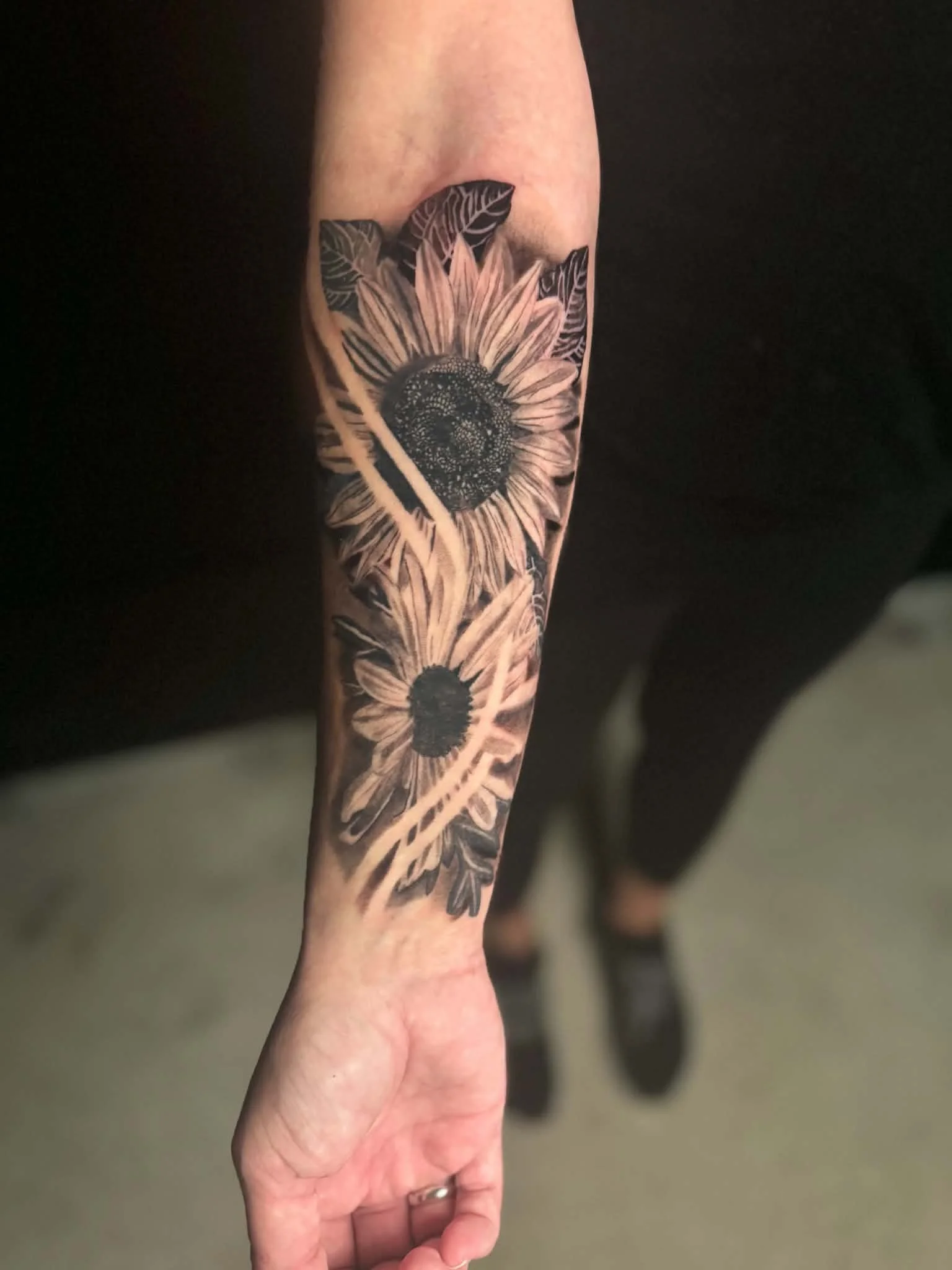 Black Grey Realism Sunflower. Daisy