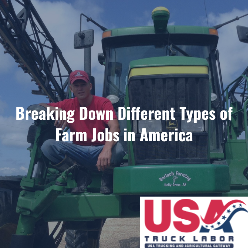 Breaking Down Different Types of Farm Jobs in America