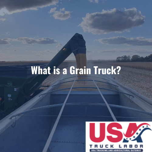 What is a Grain Truck? 