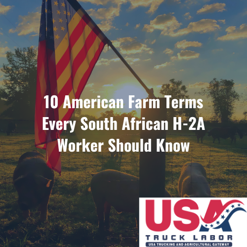 10 American Farm Terms Every South African H-2A Worker Should Know
