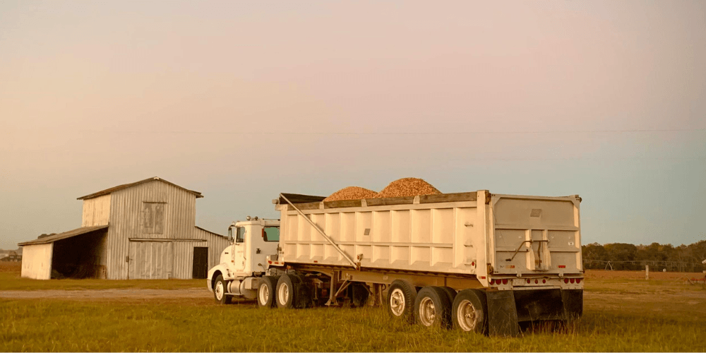 image of a large grain truck loaded in a field