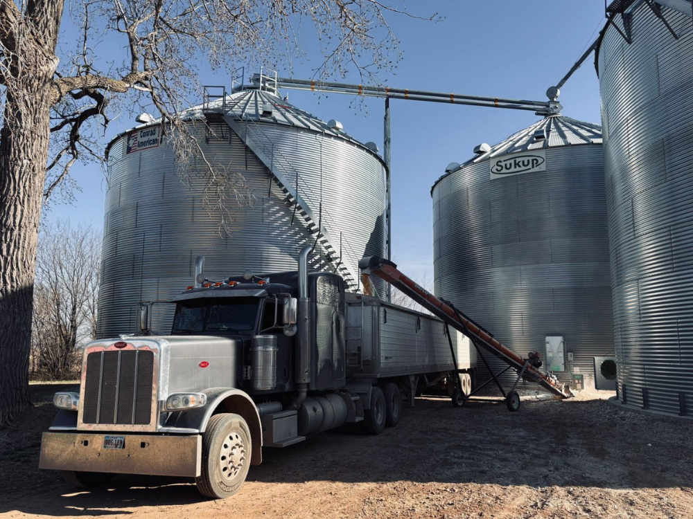 image of a farm semi truck being loaded with grain at a grain elevator for an H-2A job