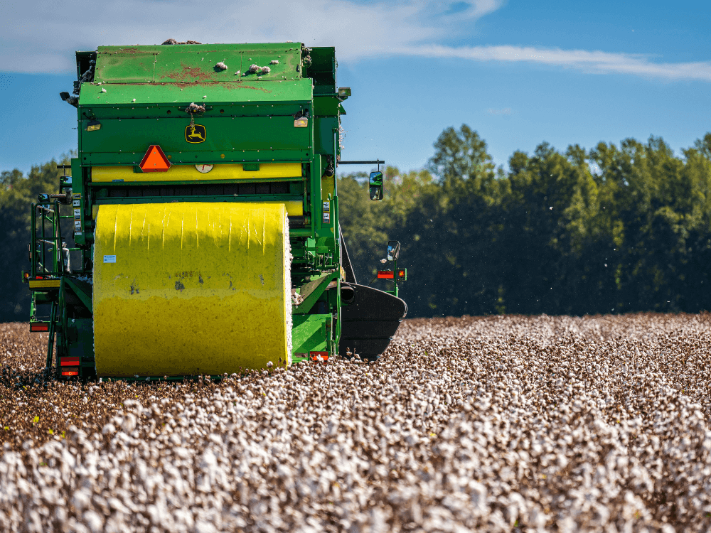 image of john deere cotton harvester in a field of cotton