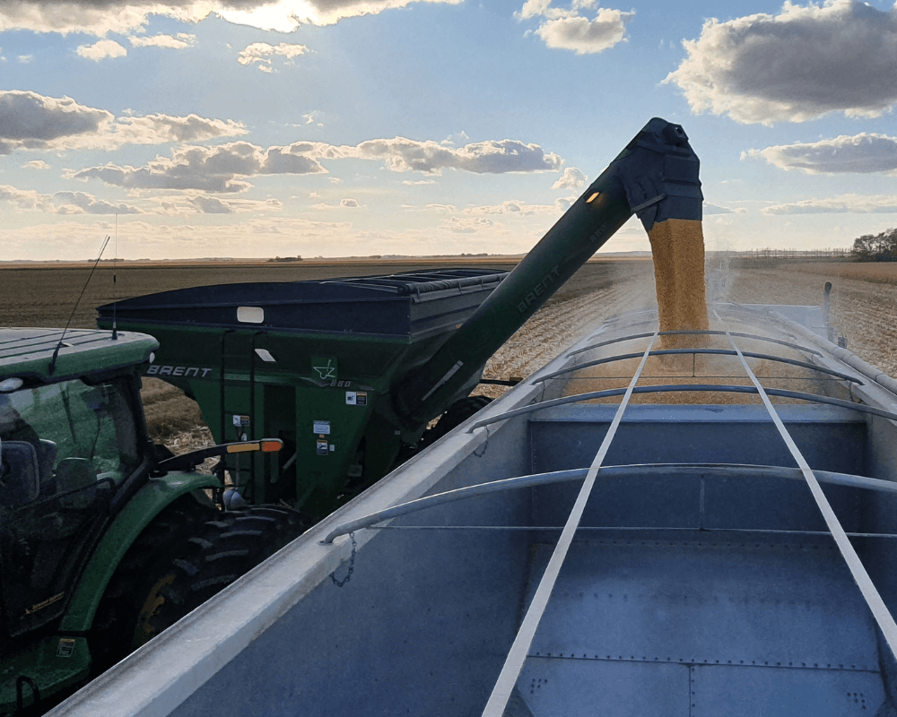 image of grain harvest for 2-day training for H2A jobs