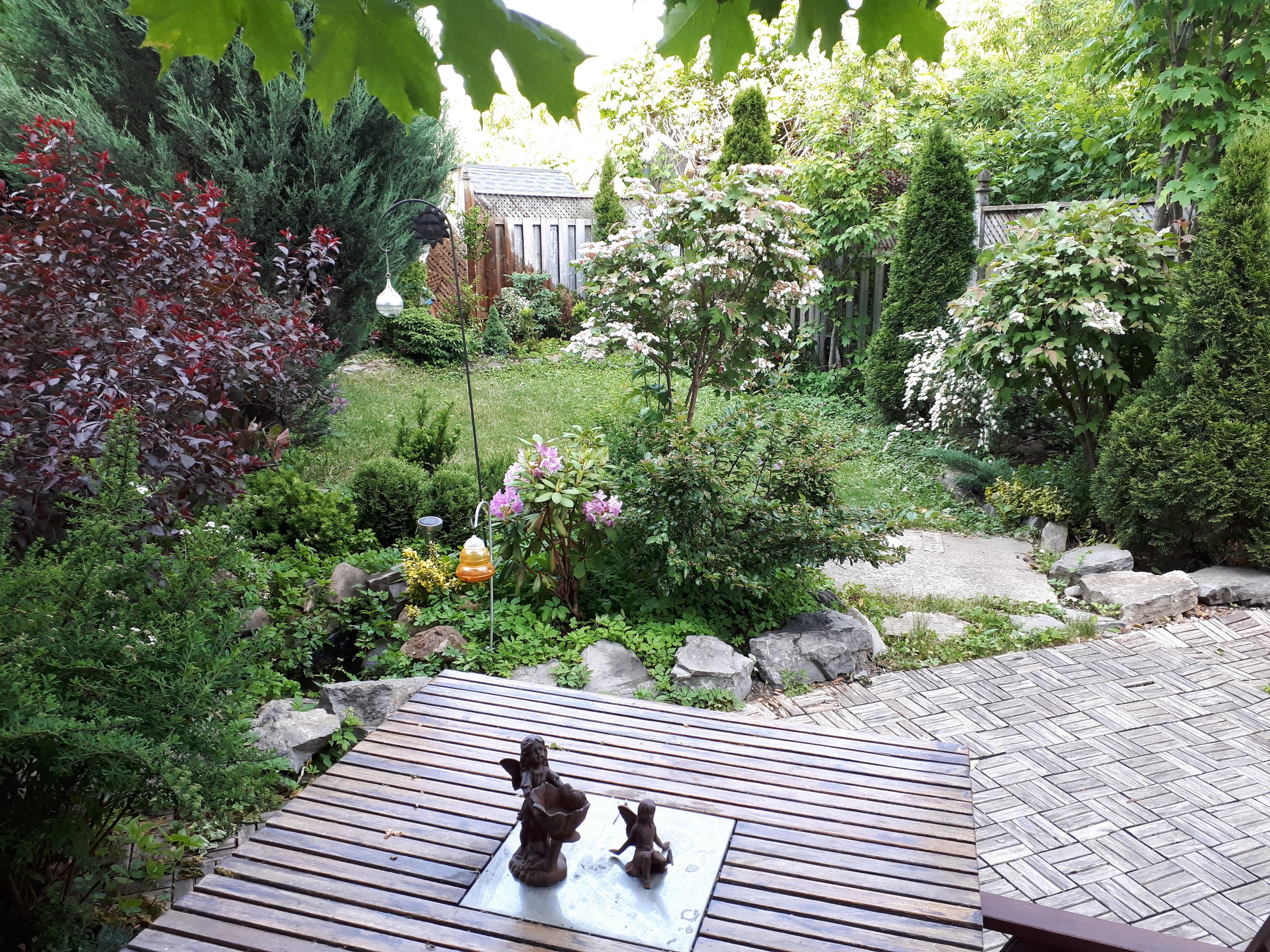 Jardin de casa (2).jpg