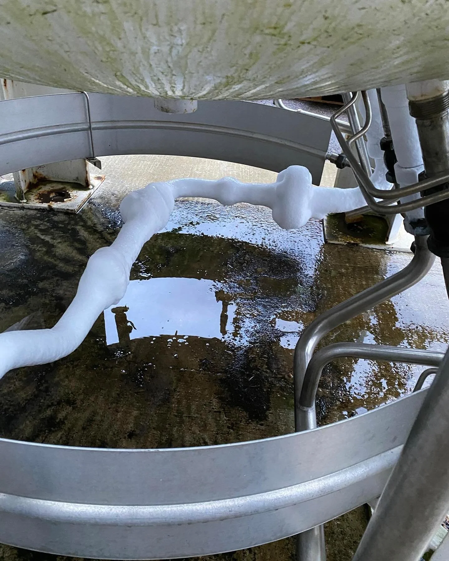 Fiberlasern går så varm att gasrören fryser 😄
Våra kunder väntar inte! 🤟
#scandcutse #scandcut #utskärningonline #kryotank #vårakunderväntarinte #fiberlaser