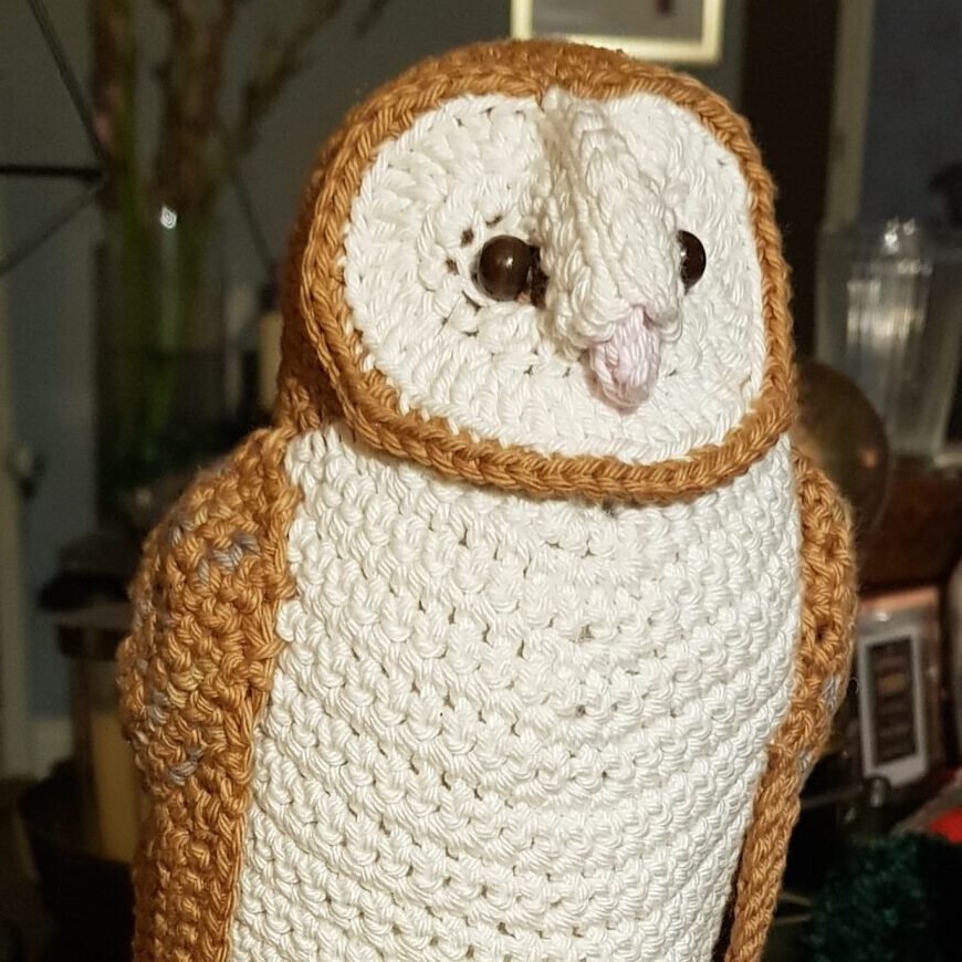 Barn Owl