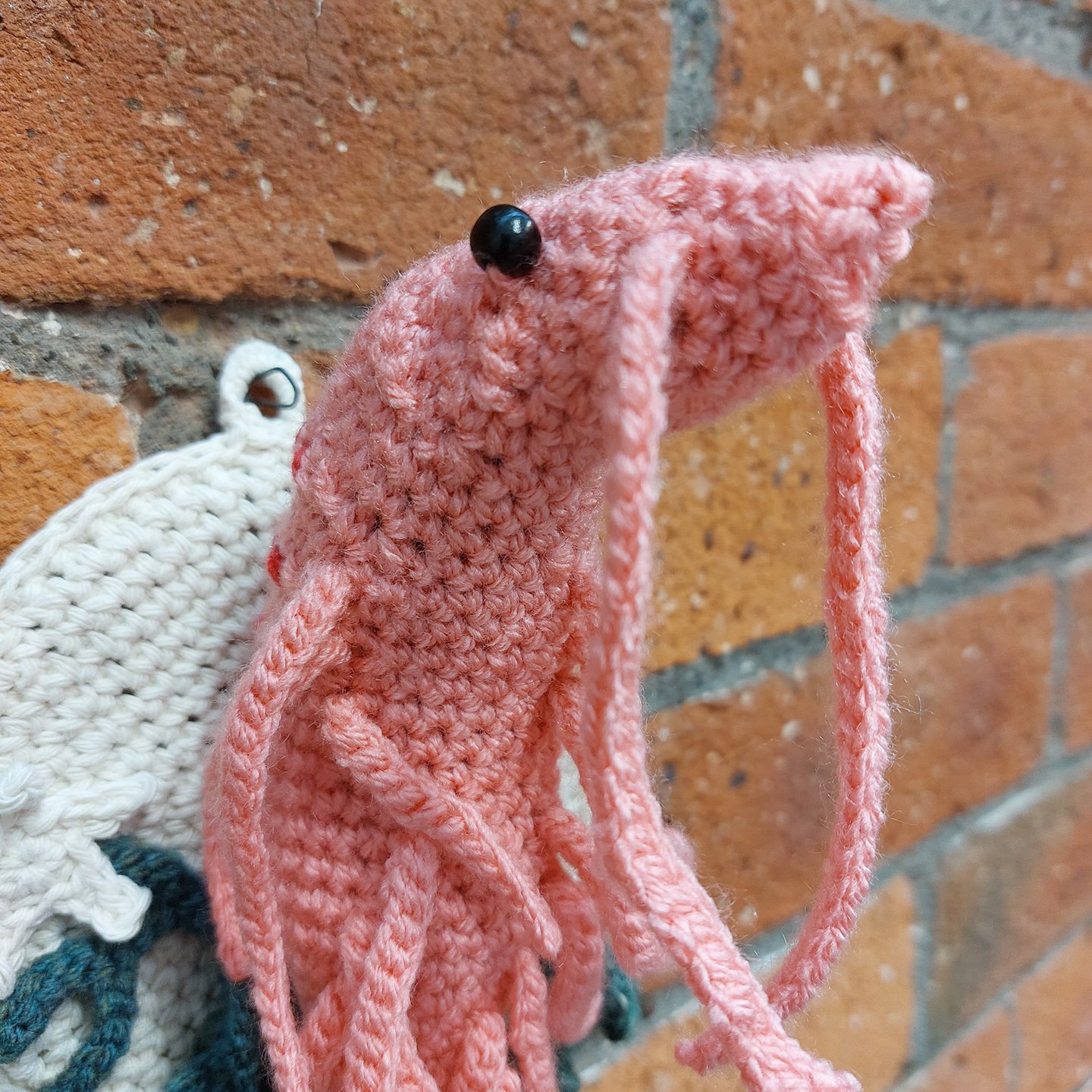 prawn.jpg