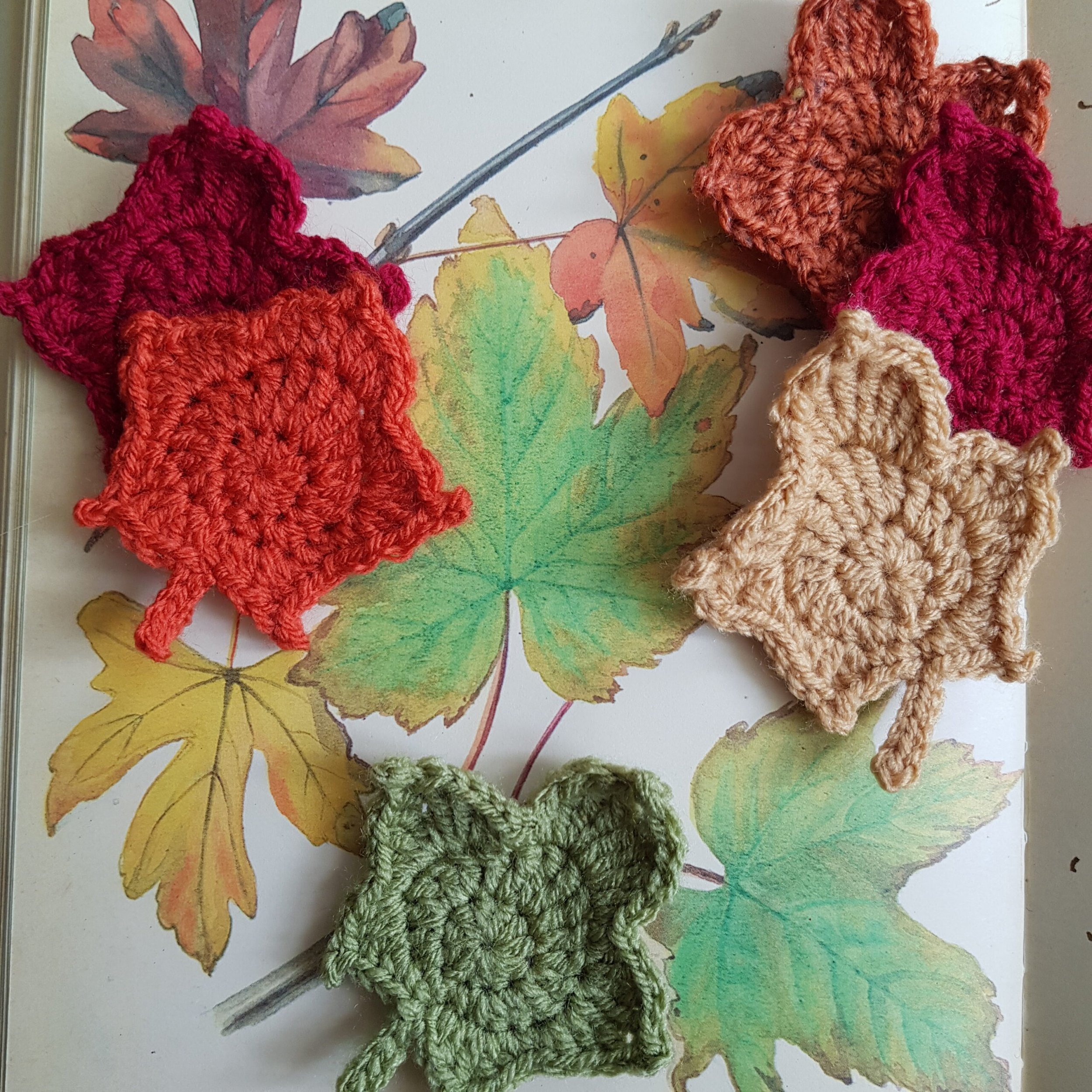 autumn wreath.jpg