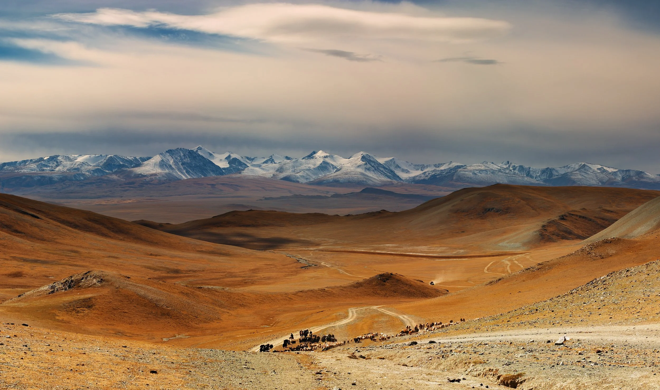 Mongolia Landscape