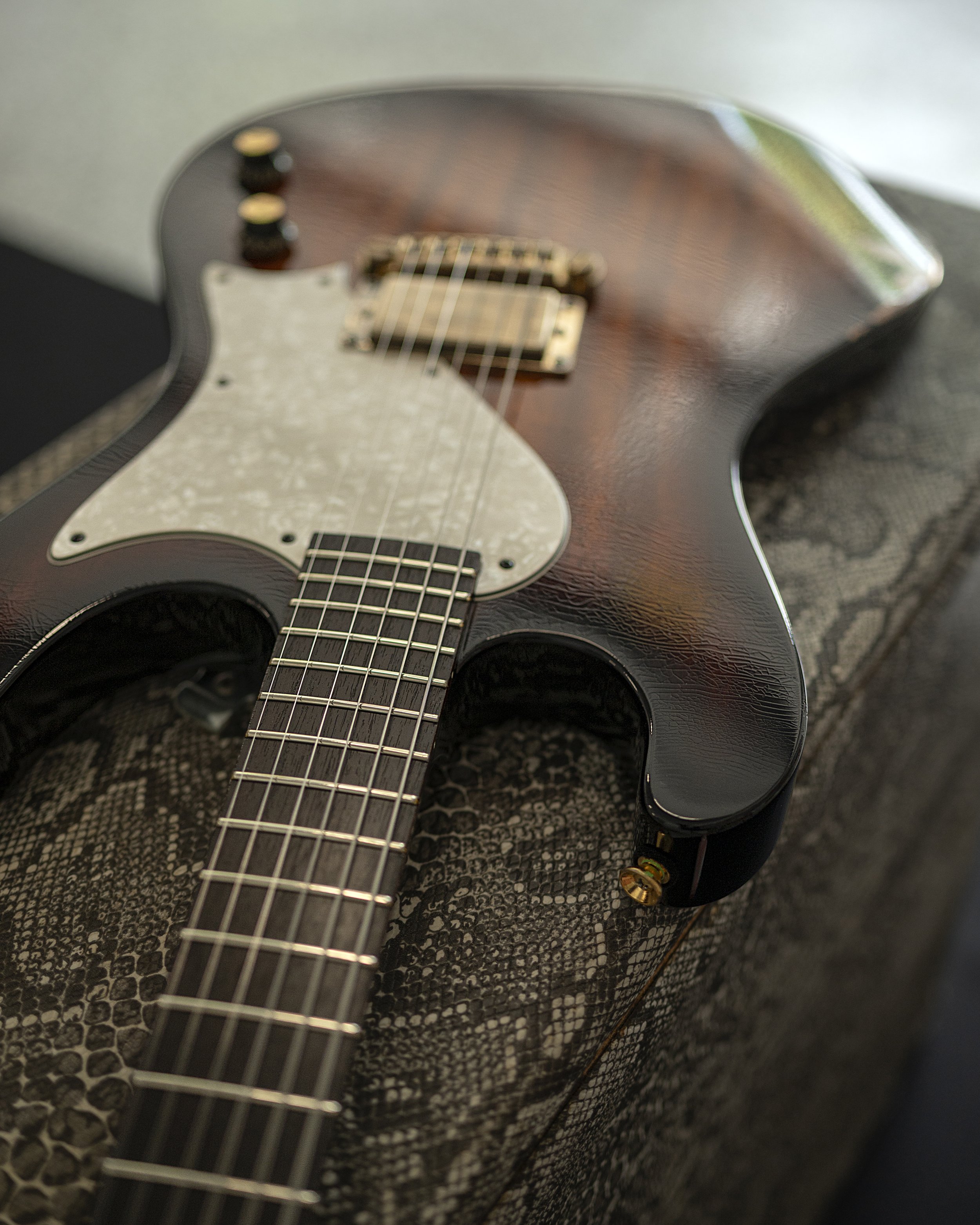 Aged_Burst_25018_05.jpg
