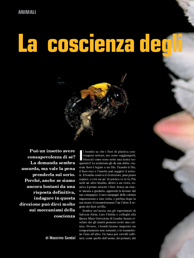 la-coscienza-degli-insetti.png
