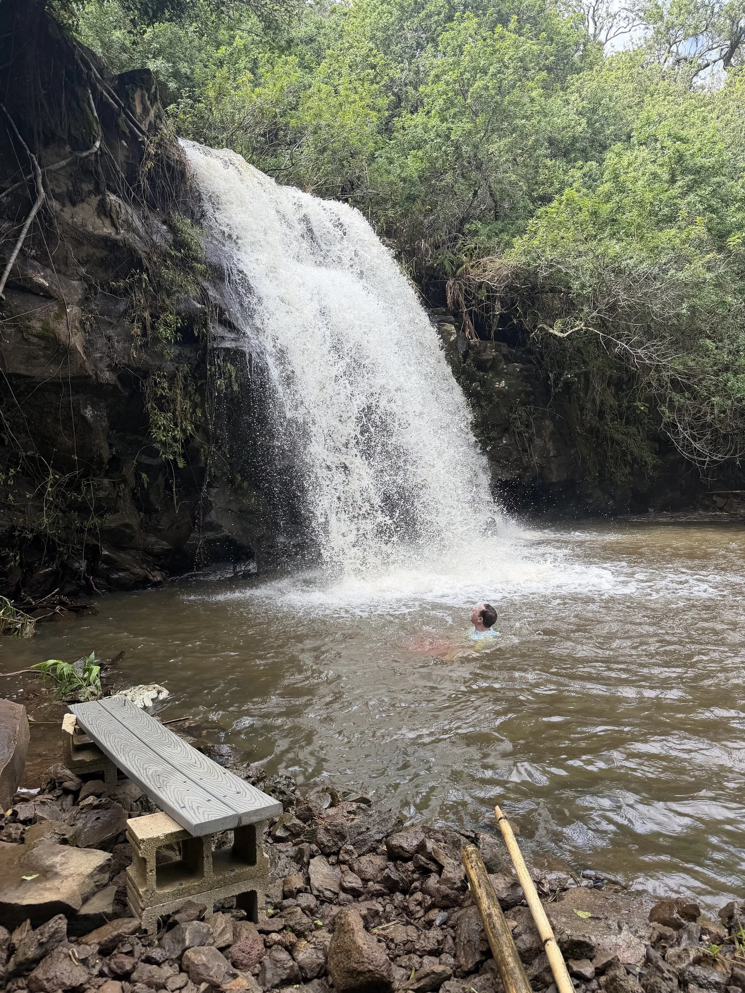 09_Waterfall Swim.jpeg