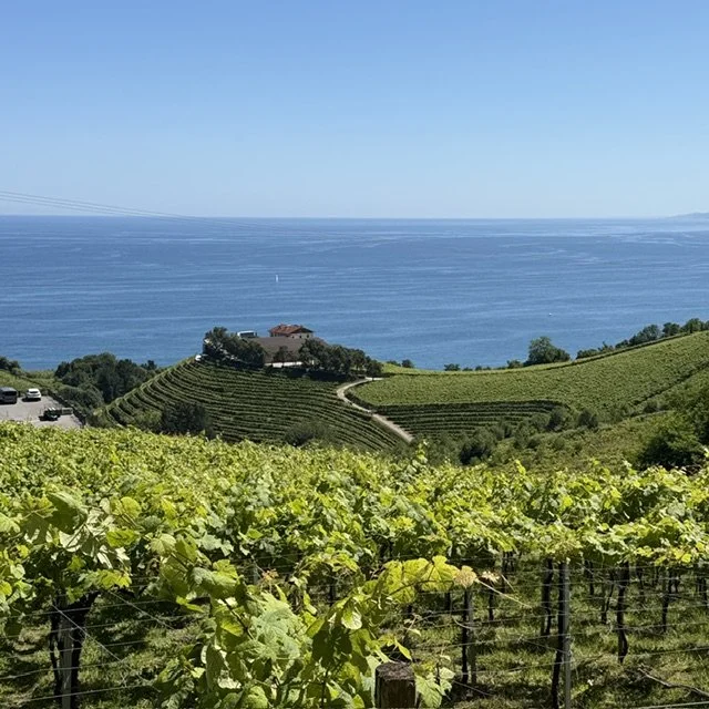 Green Spain: Come Hungry