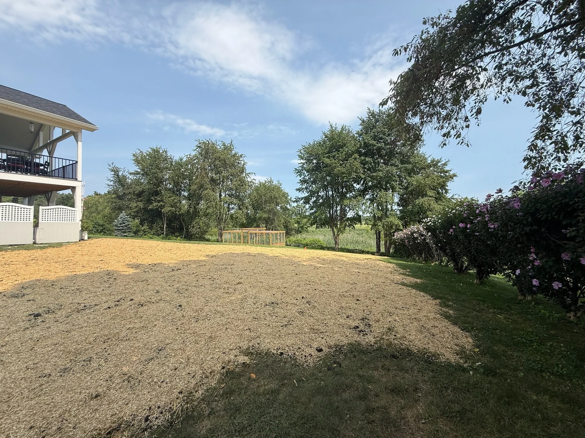 A backyard with a two-story house on the left, trees in the background, a wooden garden bed, a grassy area, and flowering bushes on the right. The sky is partly cloudy.