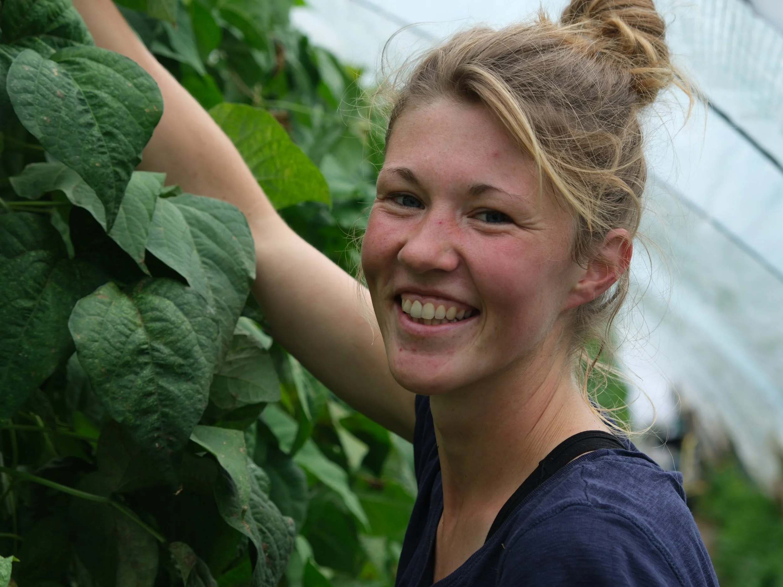 Marktgarten HerzGemüseKooperativ Milena Galle Borken