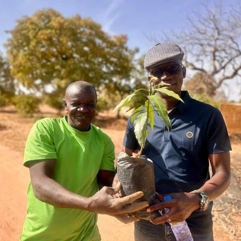 När verkligheten inte tillåter resor – men samarbetet fortsätter