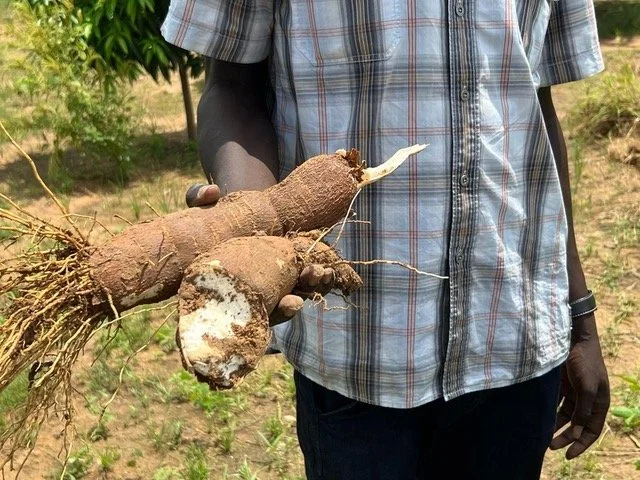 Dead Soil Does Not Feed Children (4).jpeg