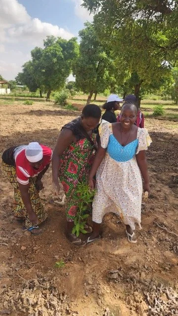 312_new_trees_planted_yennenga.(6).jpeg
