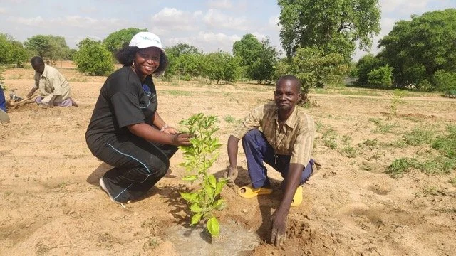 312_new_trees_planted_yennenga.(7).jpeg