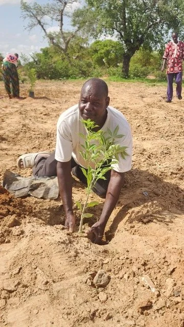 312_new_trees_planted_yennenga.(8).jpeg
