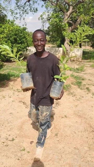 312_new_trees_planted_yennenga.(13).jpeg