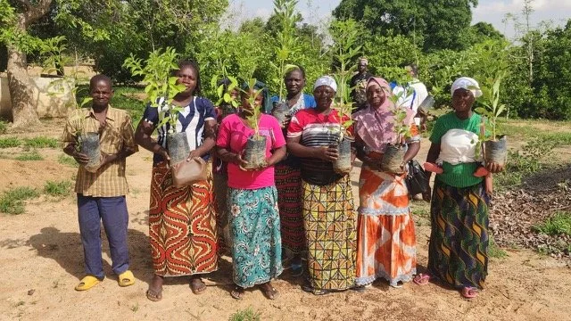 312_new_trees_planted_yennenga.(14).jpeg