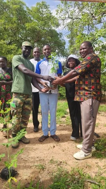 312_new_trees_planted_yennenga.jpeg