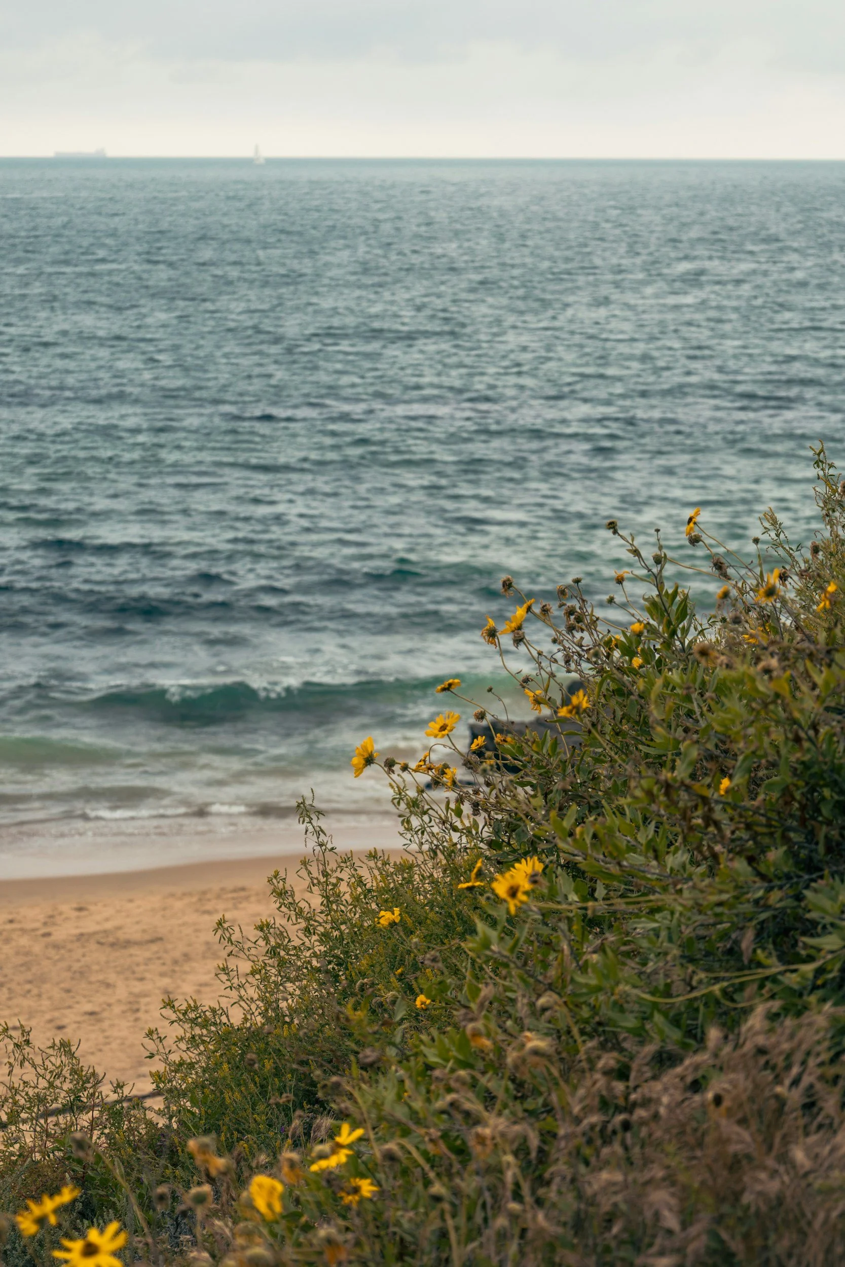 The Quarter-Life Crisis: When Everything “Looks Fine” But Doesn’t Feel Right