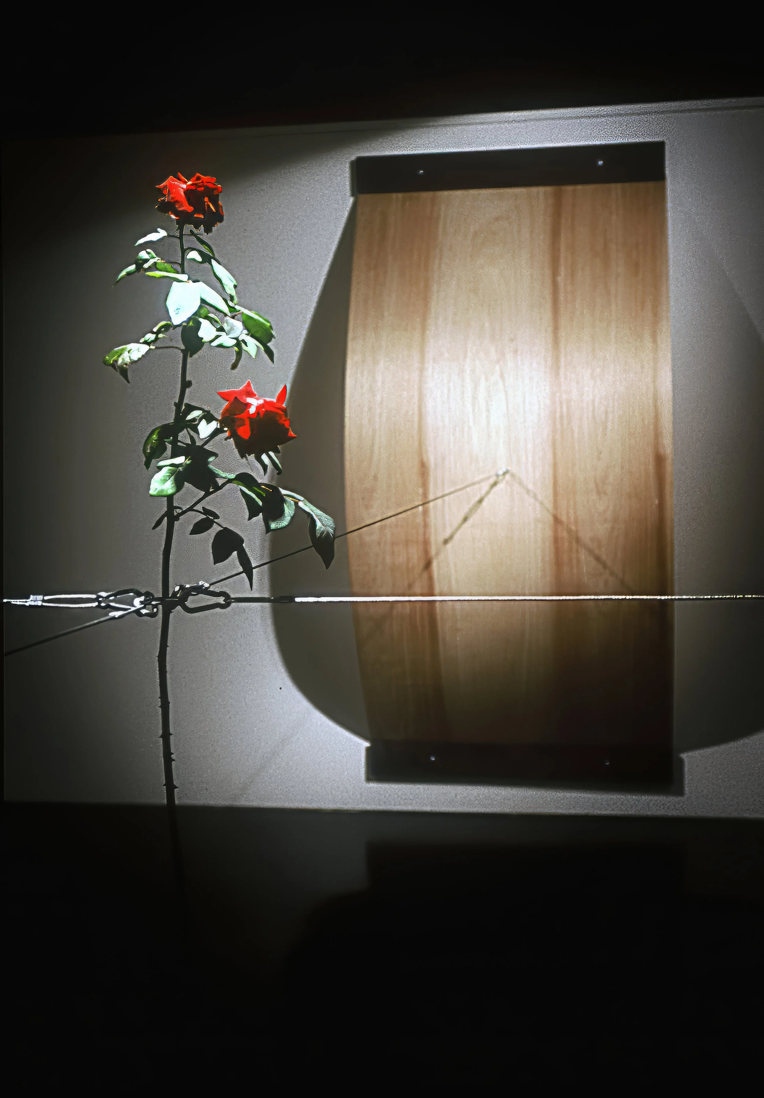 Religion (2019) - installation