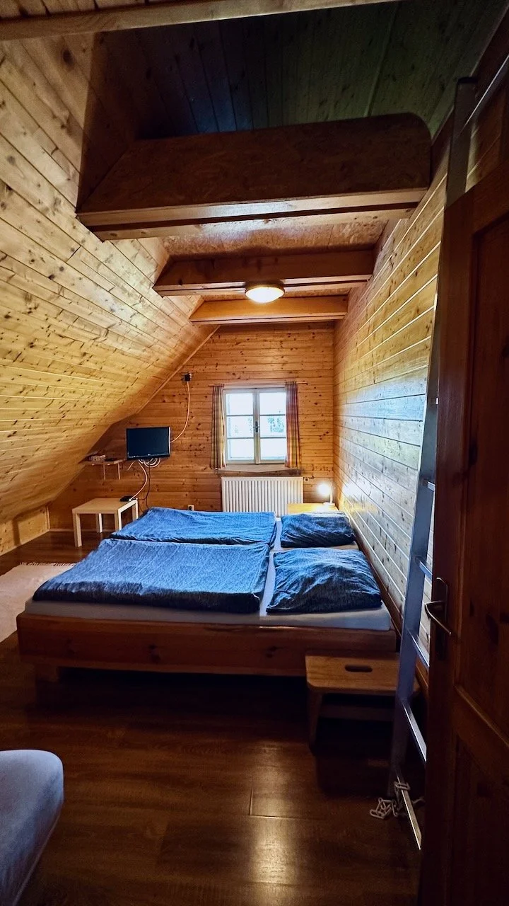 A cozy bedroom with wooden walls and ceiling, a double bed with blue bedding, a small window with curtains, a nightstand with a lamp, a small TV mounted on the wall, and a ladder leaning against the door.