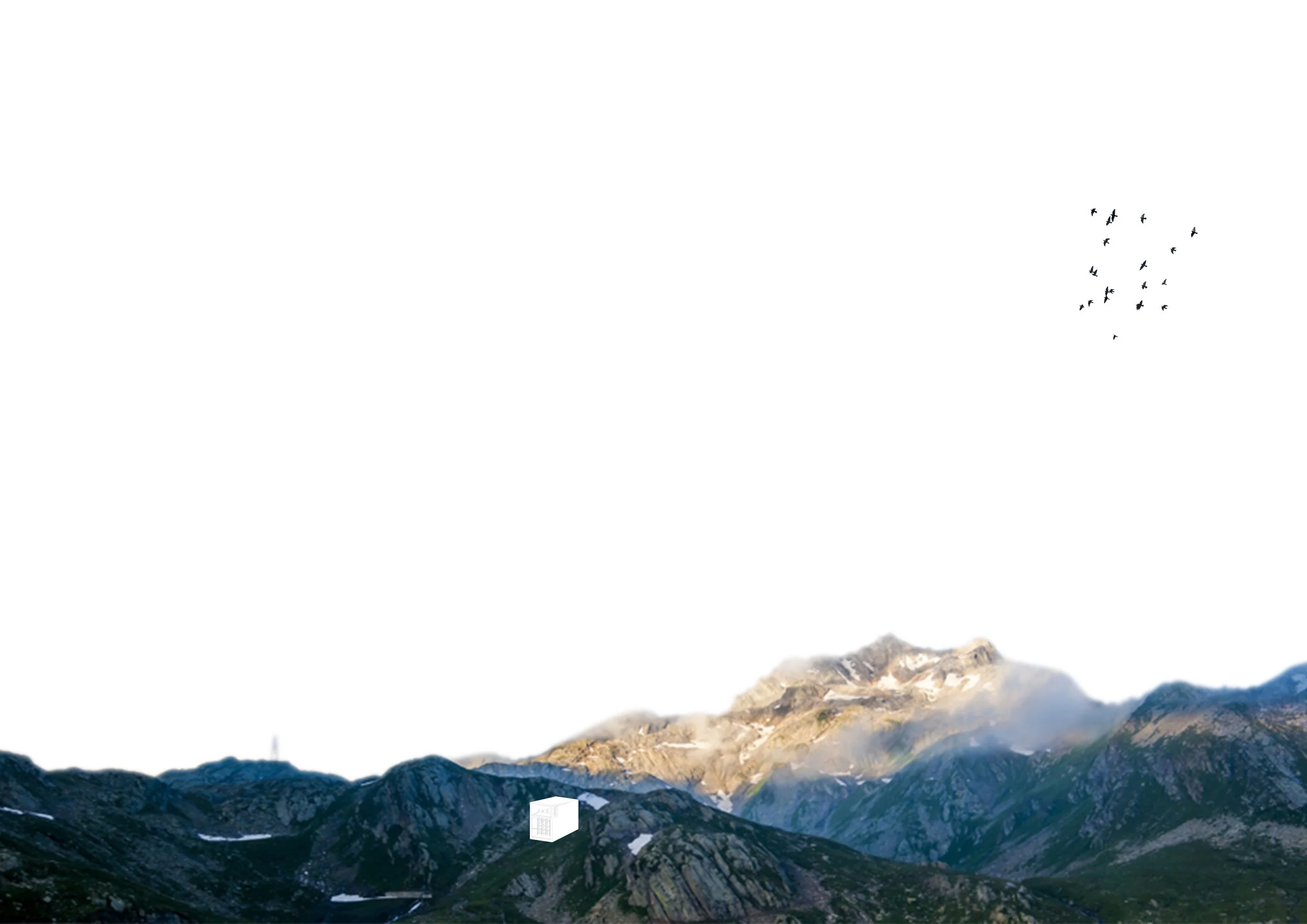 "Dynamic Views"