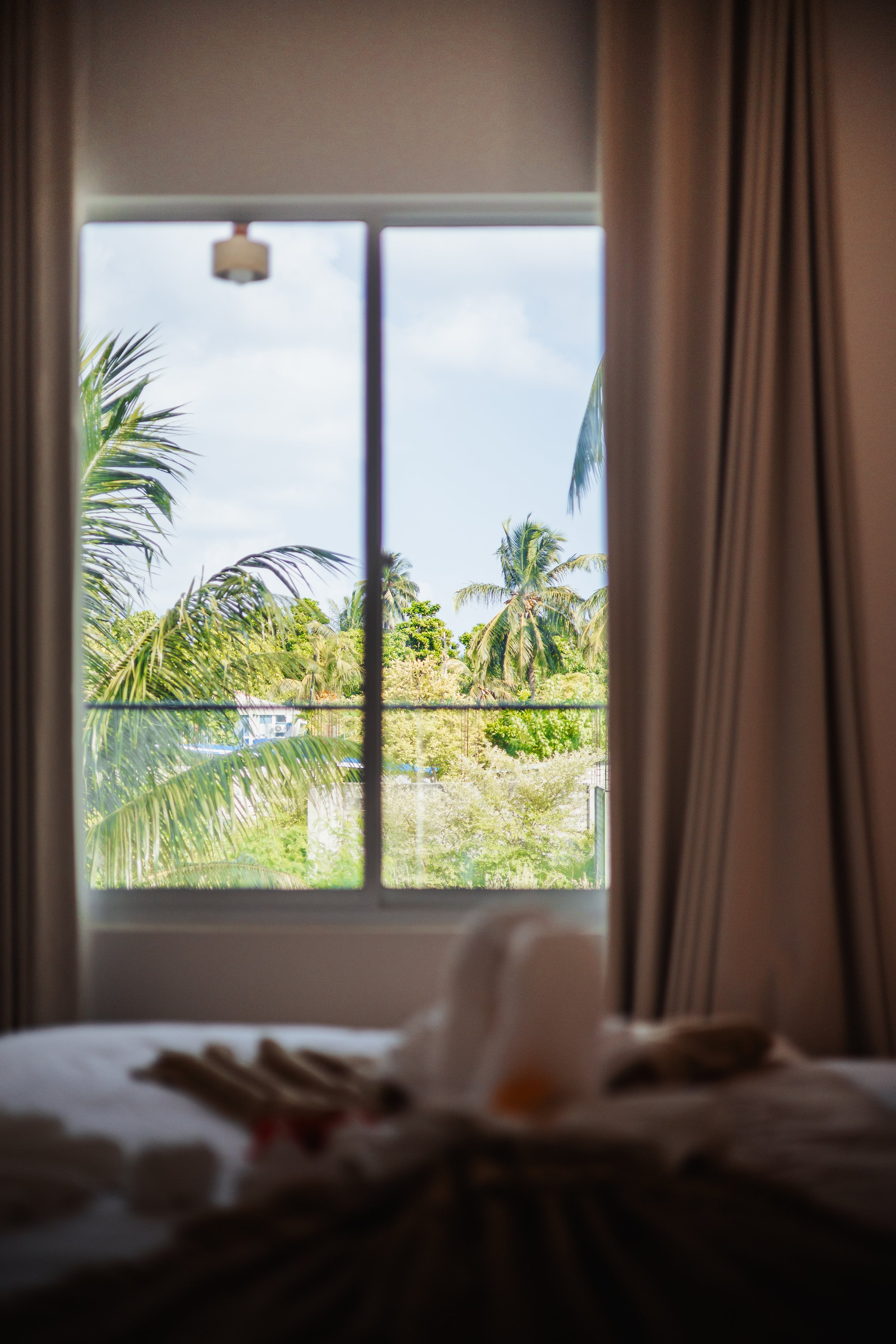 View of palm trees through a large window with curtains partially open.