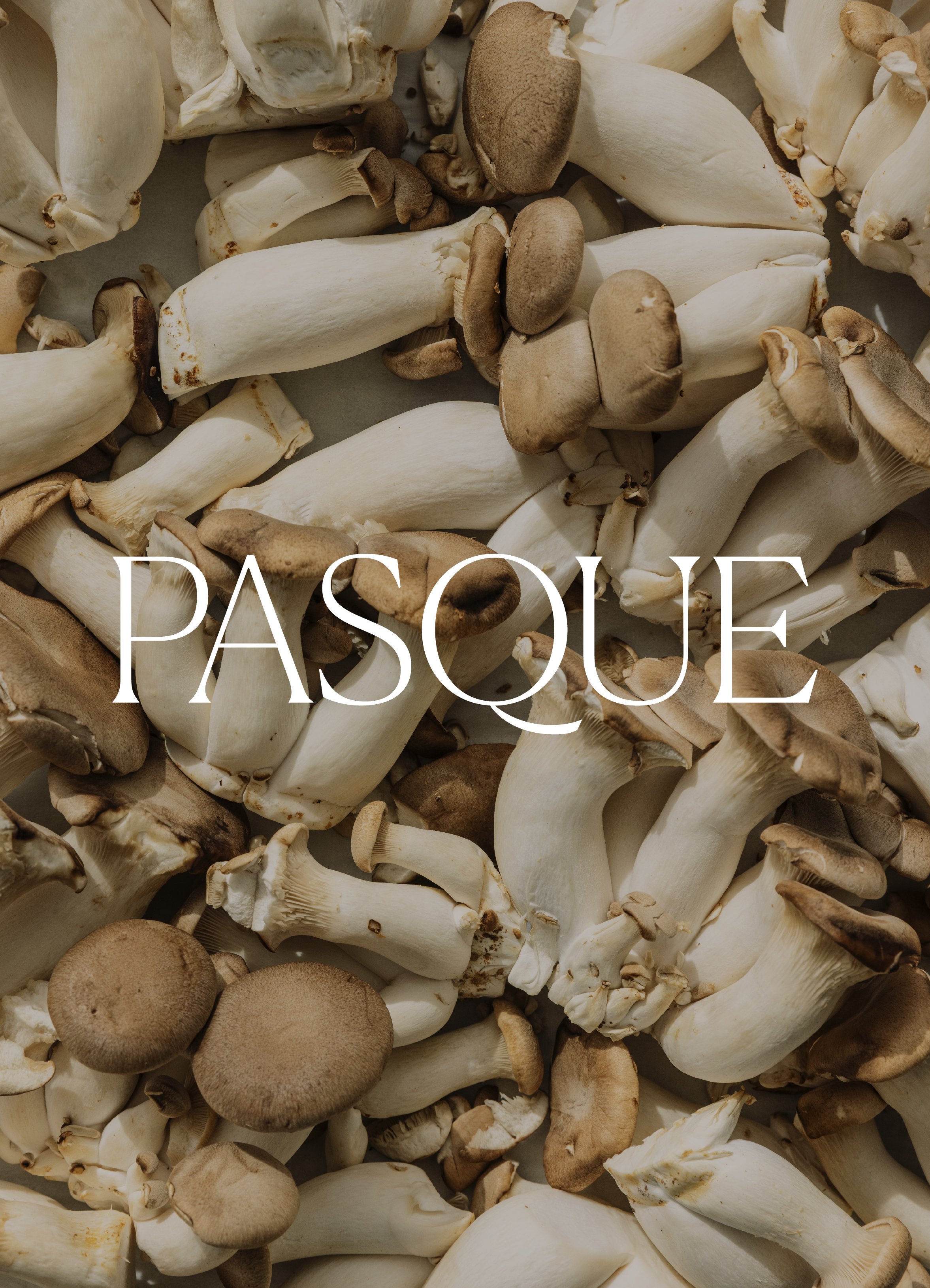 Pasque_LogosImages-07.jpg
