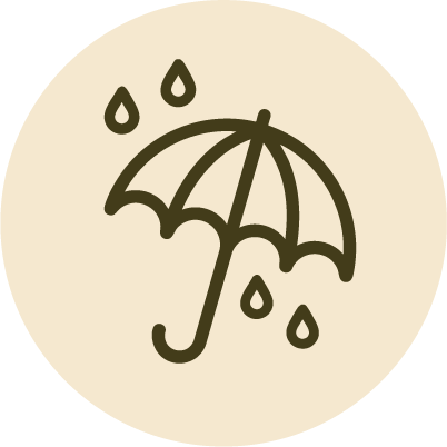 Novembre Nordico