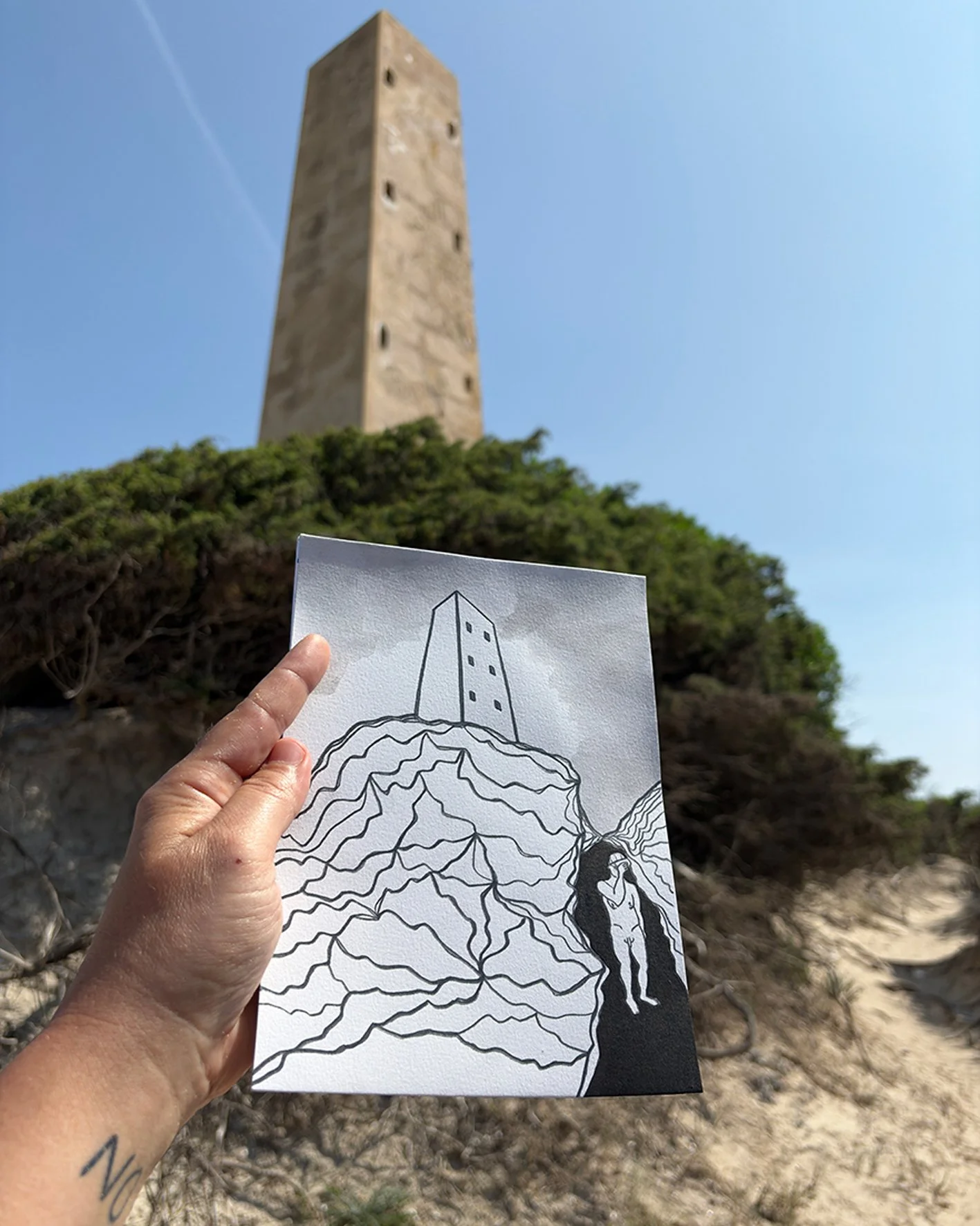 palma stampa 2 12x15.jpg