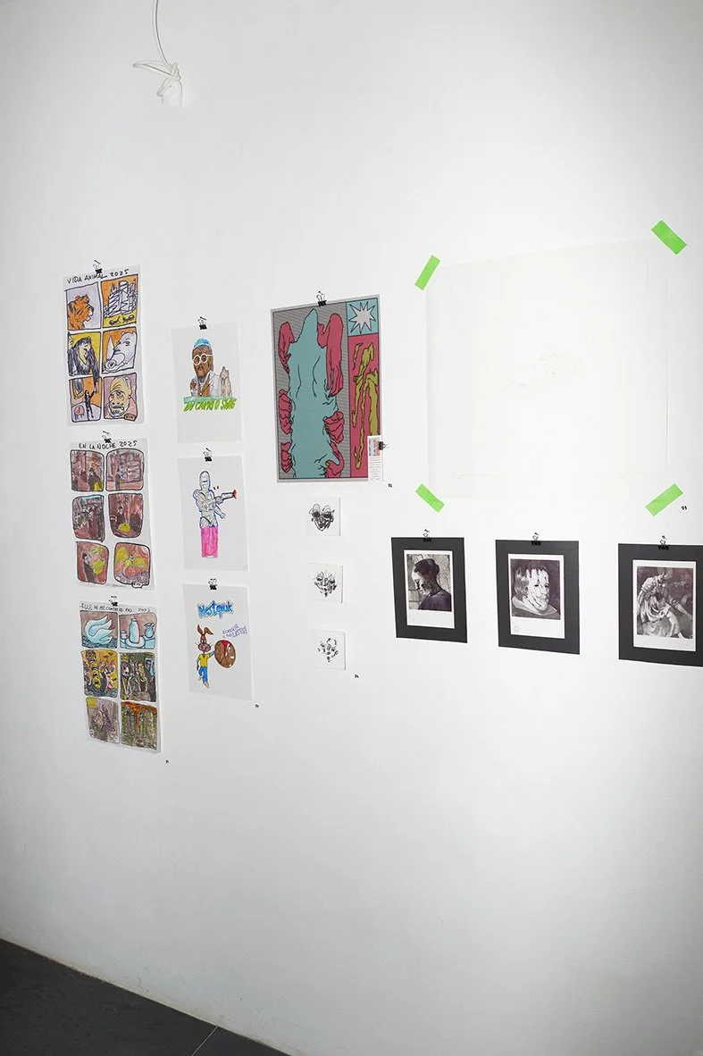SPAZIO_SELVATICO_LUCE_RAGGI_080.jpg