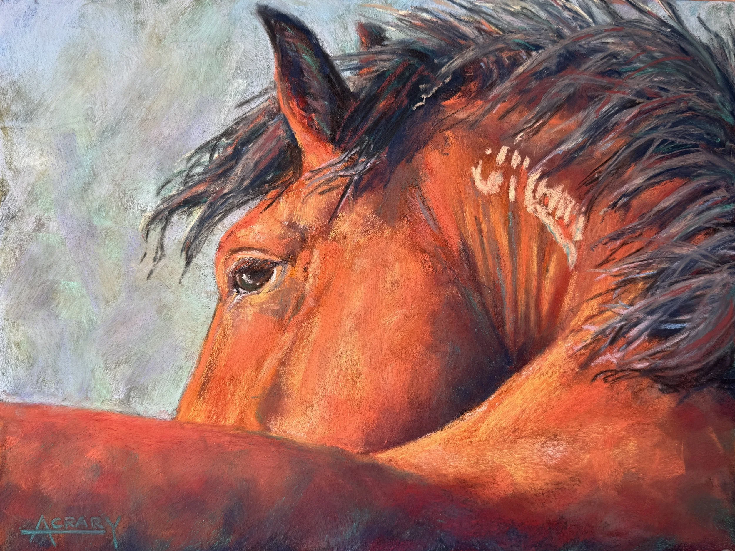 AC_Cisco, BLM Mustang.JPG