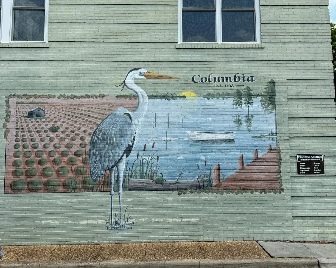 Columbia NC Travel Guide: Discovering the Charm of Tyrrell County