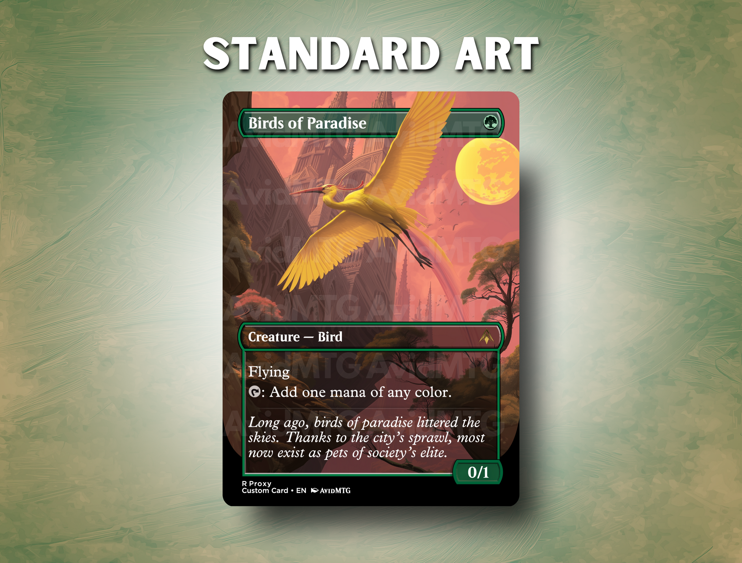 Birds of Paradise (4).png